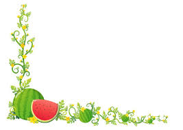 watermelon border images browse 3 802