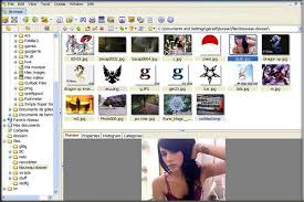 Xnview is a free software for windows that allows you to view, resize and edit your photos. Xnview Full Xnview 2 49 4 Screenshot Freeware Files Com 2016 Prathama Raghavan