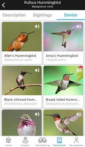 Learning bird sounds is probably the single most important skill in moving from beginning birding to intermediate birding. 17 Learning Tools For Your Next Outdoor Excursion The New York Times