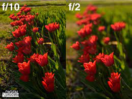 aperture priority and depth of field in