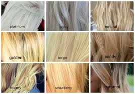 Shades Of Blonde Hair Color Chart Toners Blonde Hair
