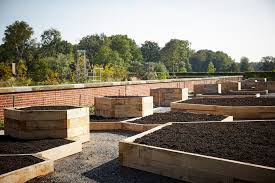 How To Make A Raised Bed Rhs Gardening