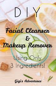 cleanser makeup remover
