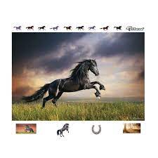 Horse Stormy Skies Mural Removable