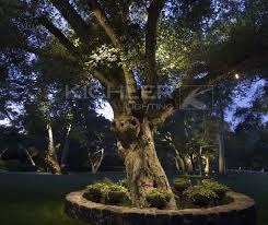 A Grand Old Tree Becomes An Ambassador To The Stars With Kichler Landscape Led Accent Kichler Landscape Lighting Landscape Lighting Outdoor Landscape Lighting