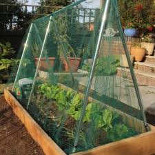garden tunnel with netting a frame