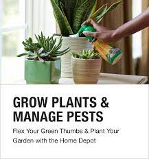 Plant Your Garden The Home Depot