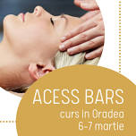 Curs Access Bars in Oradea
