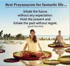the new yoga life aarogya sadan