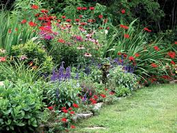 maintaining a perennial garden