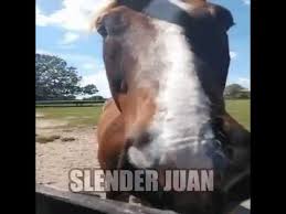 The producer bill ritch claimed that genji 2 ' s epic battles were based on famous battles which actually took place in ancient japan. Original Slender Juan Horse Meme Youtube