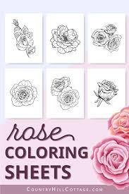 I've worked hard to be sure to have a collection of detailed coloring sheets on this page. Free Printable Rose Coloring Pages 10 Realistic Designs For Adults