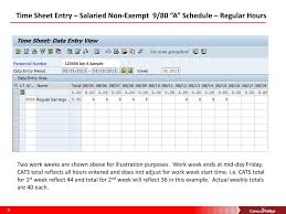 Alternate Work Schedules 9 80 And 19 30 06 19 Ppt Download