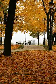 Осень В Парке Осенняя - Бесплатное фото на Pixabay - Pixabay