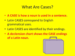 Ppt Review Of Case Uses Powerpoint Presentation Free