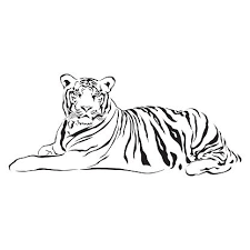 tiger sitting black and white vector