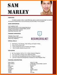 Cv Template Personal Profile Resume Example Language Skills Sketch App Sources