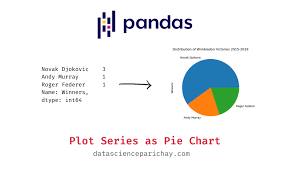 pie chart of pandas series values