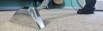 steam carpet cleaning services green