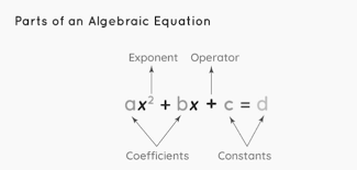 Algebraic Equations Types And Examples