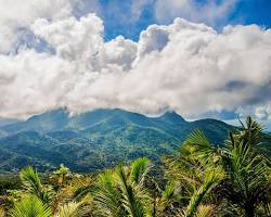 Gambar El Yunque National Forest, Puerto Rico