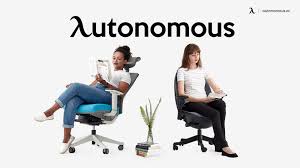 top 5 ergonomic chair s for