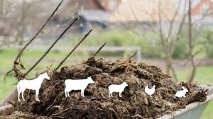 manure is best for home gardens
