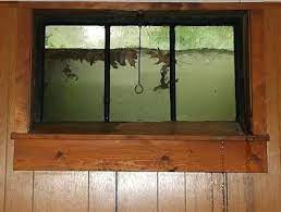Flooded Window Wells What To Do
