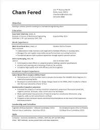 Professional Software Engineer Resume Templates to Showcase Your    