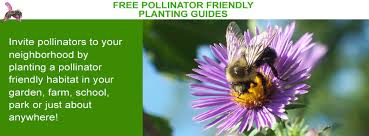 Planting Guides Pollinator Org