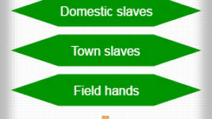 Racial Hierarchy In Slavery Hierarchy Structure