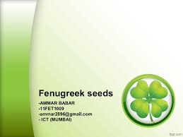 Fenugreek is widely recognized as very helpful for women; Fenugreek Seeds Cultivation And Gum Production