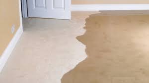 water damage supreme carpet cleaners