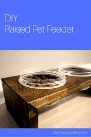 Check spelling or type a new query. Your Dog Needs One Of These 38 Diy Pet Bowls And Feeding Stations