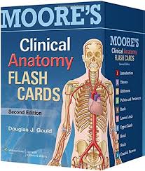 Anatomy pictures muscles and bones pdf downloads : Moore S Clinical Anatomy Flash Cards 2nd Edition Pdf Free Download Free Pdf Epub Medical Books