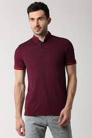 Peter England Casuals T Shirts Peter England Purple Polo T Shirt For Men At Peterengland Com