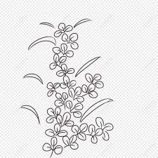 line flower flower drawing line png