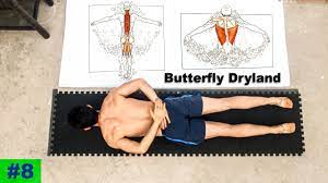 erfly dryland swimming workout
