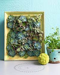 how to create succulent wall art with