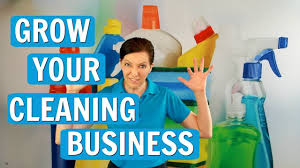 carpet cleaning businesses profitable