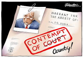 Contempt of court cartoon 1 of 1. Cartoon Jacob Zuma S Contempt Of Country