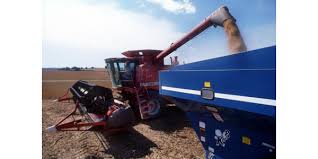 Soybean Drying Storage Could Be Challenging Morning Ag Clips
