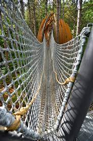 canopy walk