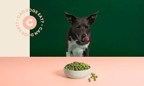 Can Dogs Eat Peas Everything You Need