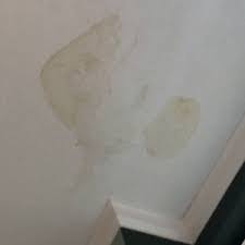 cost to fix water damage