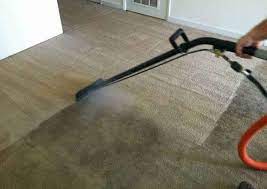carpet cleaning services in monroe ga