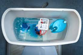 toilet tank cleaning chemicals that