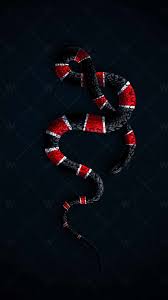 gucci snake dark iphone wallpaper