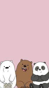 cute bear bears hd phone wallpaper
