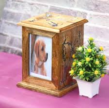 cremation urn for dog ashes